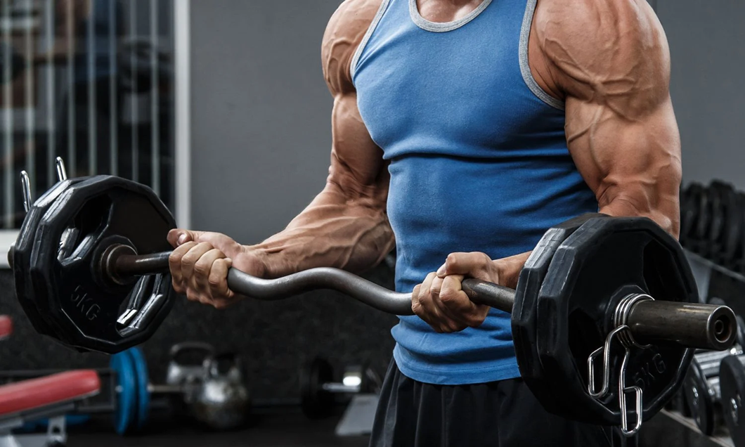 What is a Full-Body Workout?