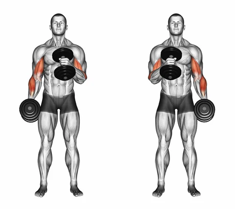 Should You Curl One Arm at a Time?