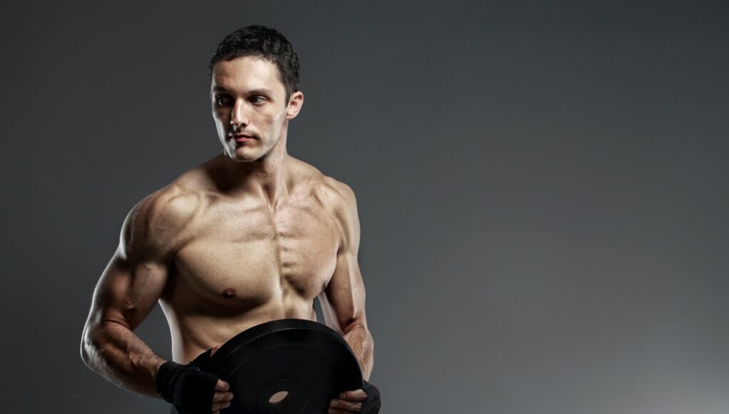 How Fast Can a Newbie Gain Muscle?