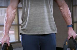 Plate Pinches: The Ultimate Grip Strength Exercise for Muscle Building Plate Pinch Exercise