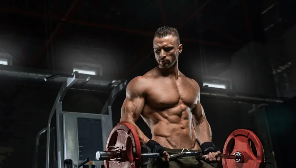Progressive Overload: The Key to Continuous Muscle Growth