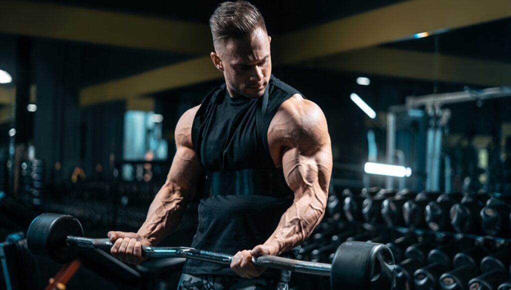 Workout Plans: Full-Body vs. Split Routines
