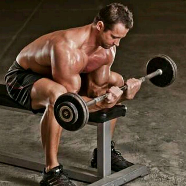 Wrist Curls