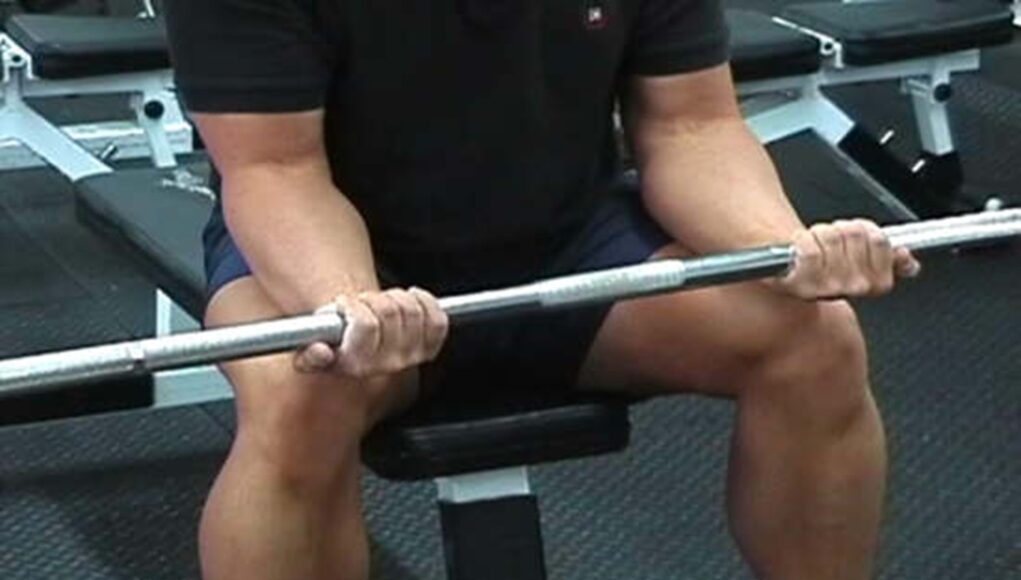 Wrist Curls (Palms Up & Palms Down)