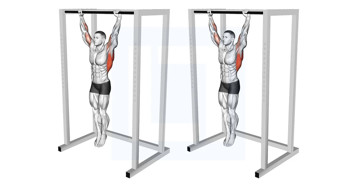 Can Dead Hangs Grow Forearms?