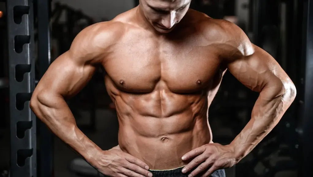 Fat Loss vs. Muscle Gain
