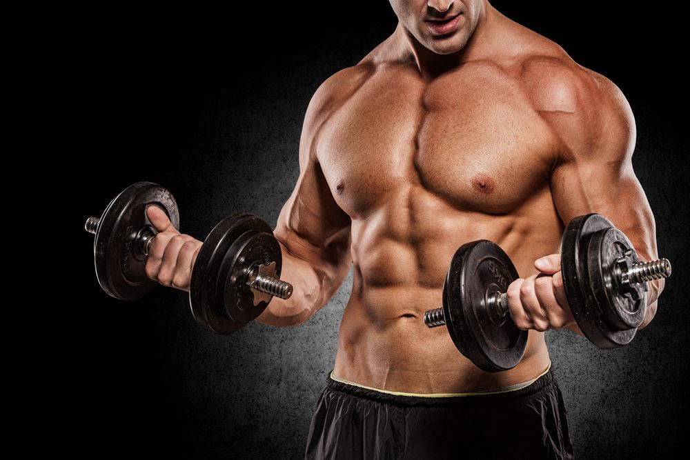 Muscle Growth for Beginners Guide