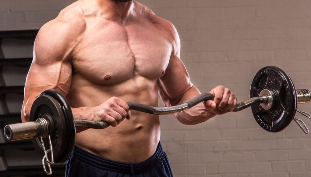 Reverse Curls: The Key to Bigger, Stronger Arms