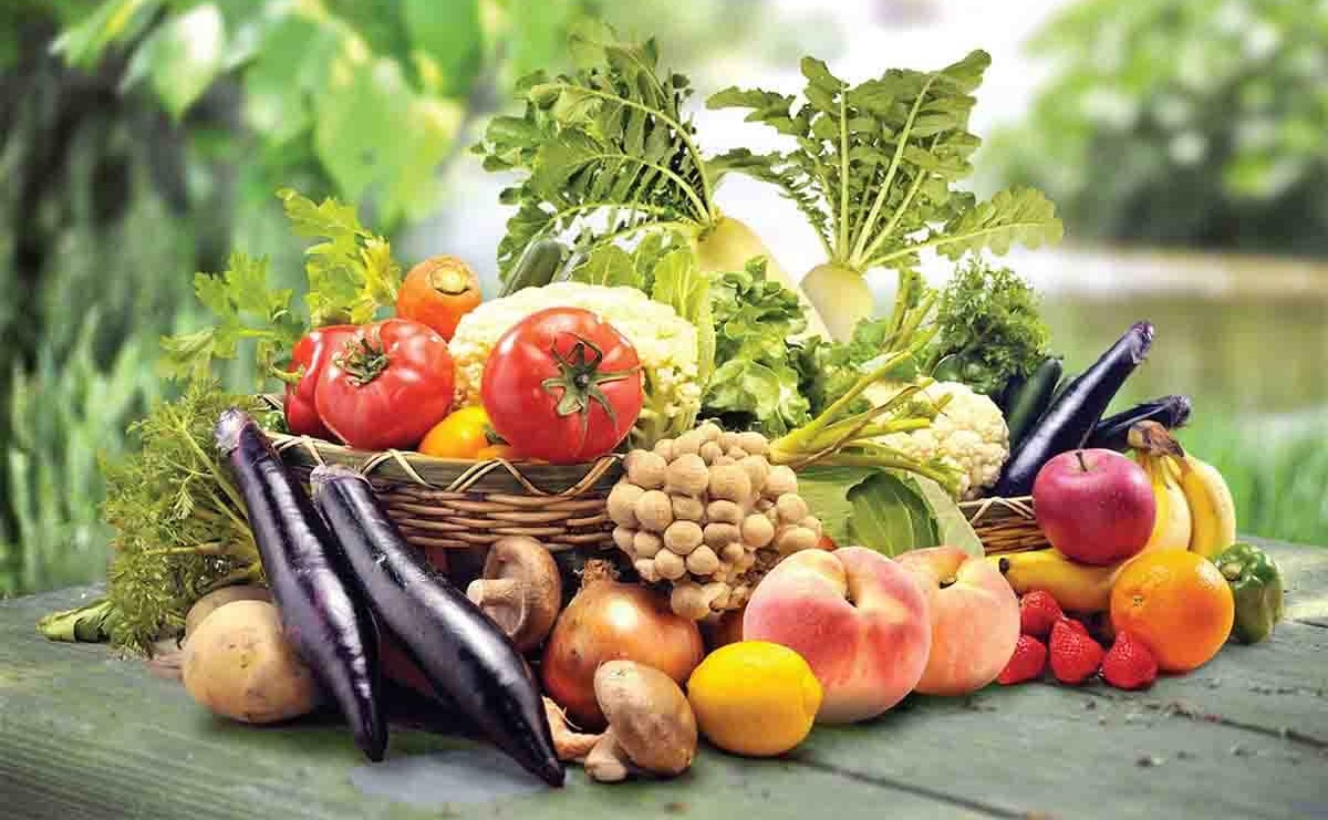 Why Protein Is Essential for Weight Loss