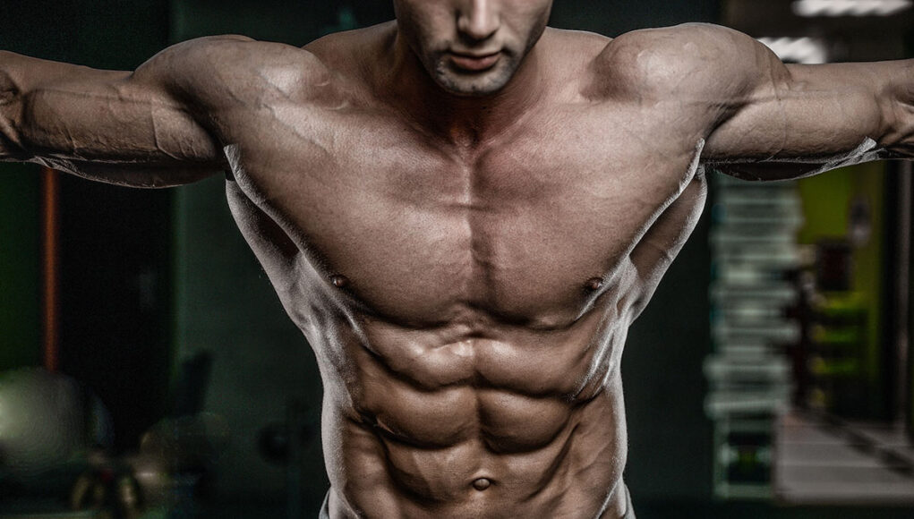 What Are Obliques?