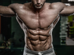 What Are Obliques and How to Train Them for a V-Cut Physique What Are Obliques?