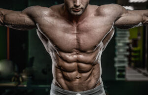 What Are Obliques and How to Train Them for a V-Cut Physique What Are Obliques?