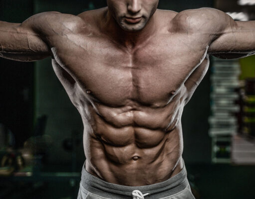 What Are Obliques and How to Train Them for a V-Cut Physique What Are Obliques?