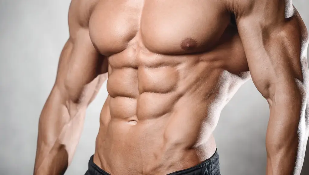 Is It Possible to Get Six-Pack Abs?